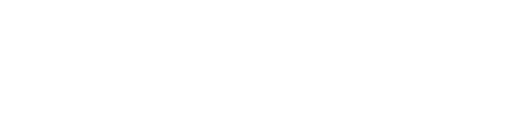 City of Birmingham White logo